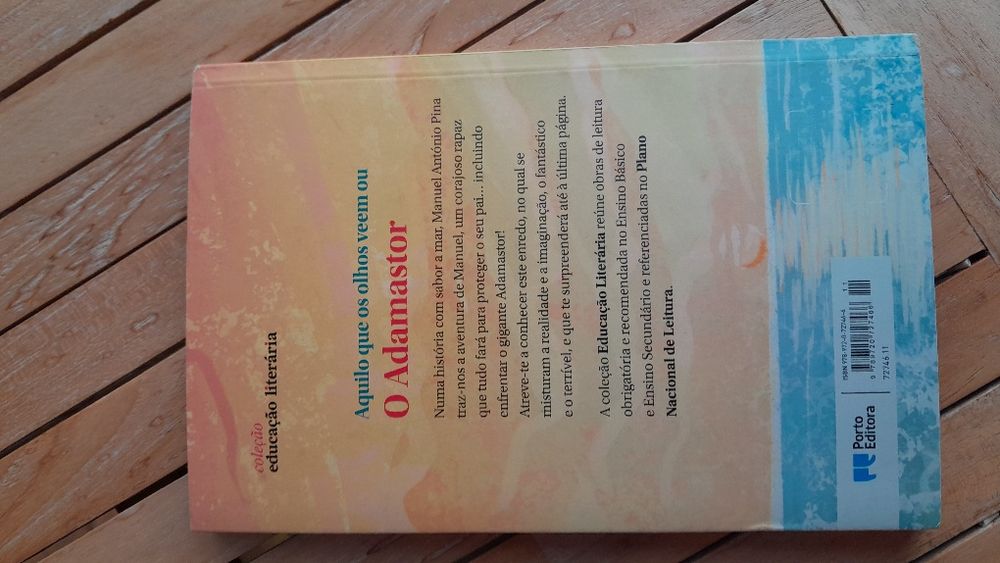 Livro Aquilo que os olhos veem ou o Adamastor- Manuel Antonio Pina