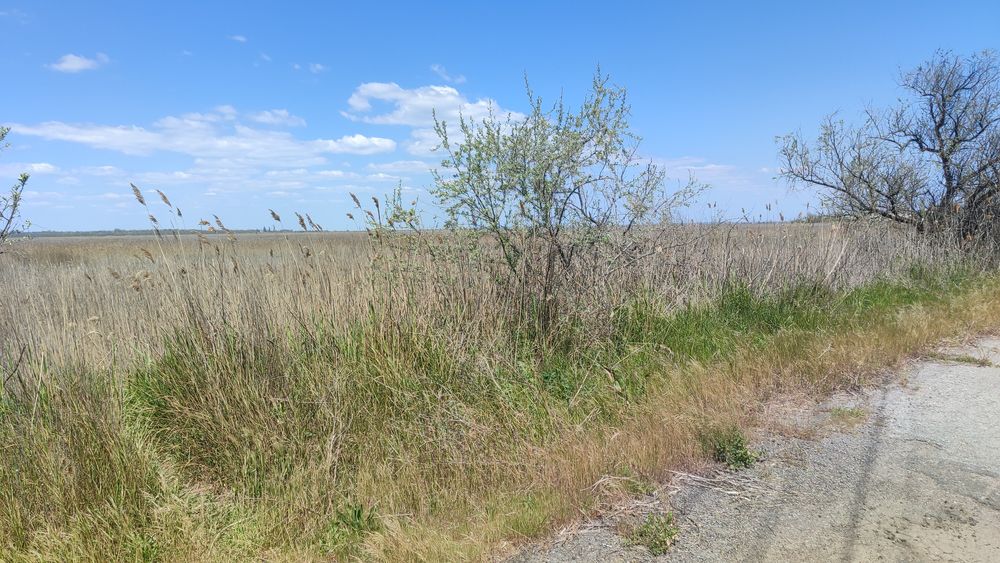 Продам фасадну ділянку біля моря 10 соток ділима