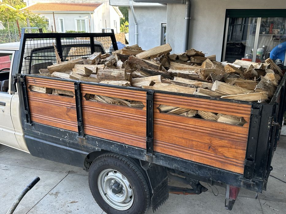 Todo tipo de lenha eucalipto