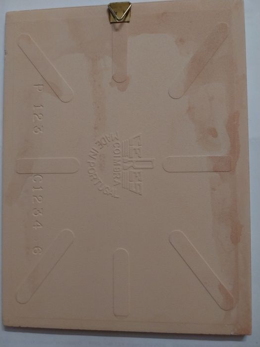 Azulejos raros 20x15 coloridos Santo António (2 exemplares)