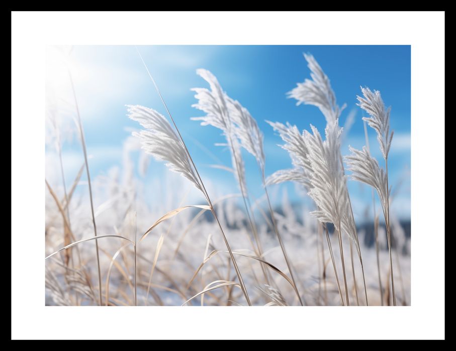 Plakat 35x25cm Szum Między Trawą