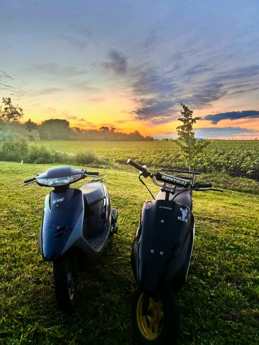 Honda dio AF27 (65cc)