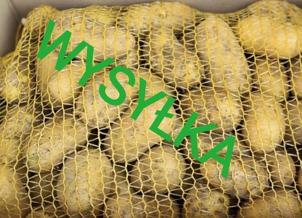 Młode ziemniaki 24kg z Gospodarstwa WIESZ co JESZ Opatkowiczki