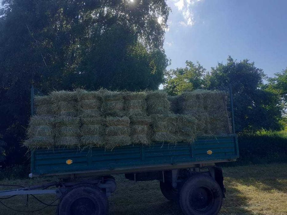 Sprzedam siano 7 zł