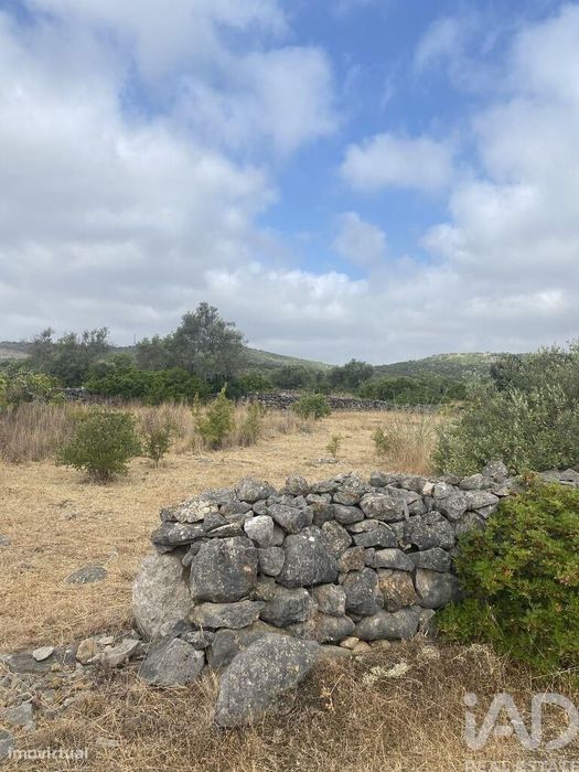 Terreno em Santa Catarina da Fonte do Bispo de 10000,00 m2