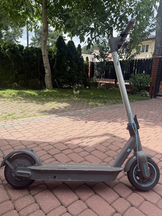 Hulajnoga elektryczna Motus Scooty 10 2022
