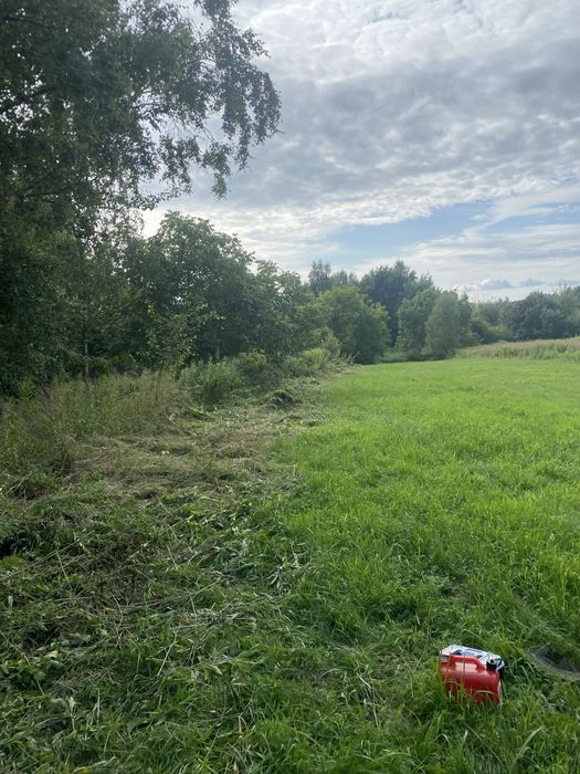 Zimowe porzadki, pielęgnacja ogrodu. Uslugi brukarskie