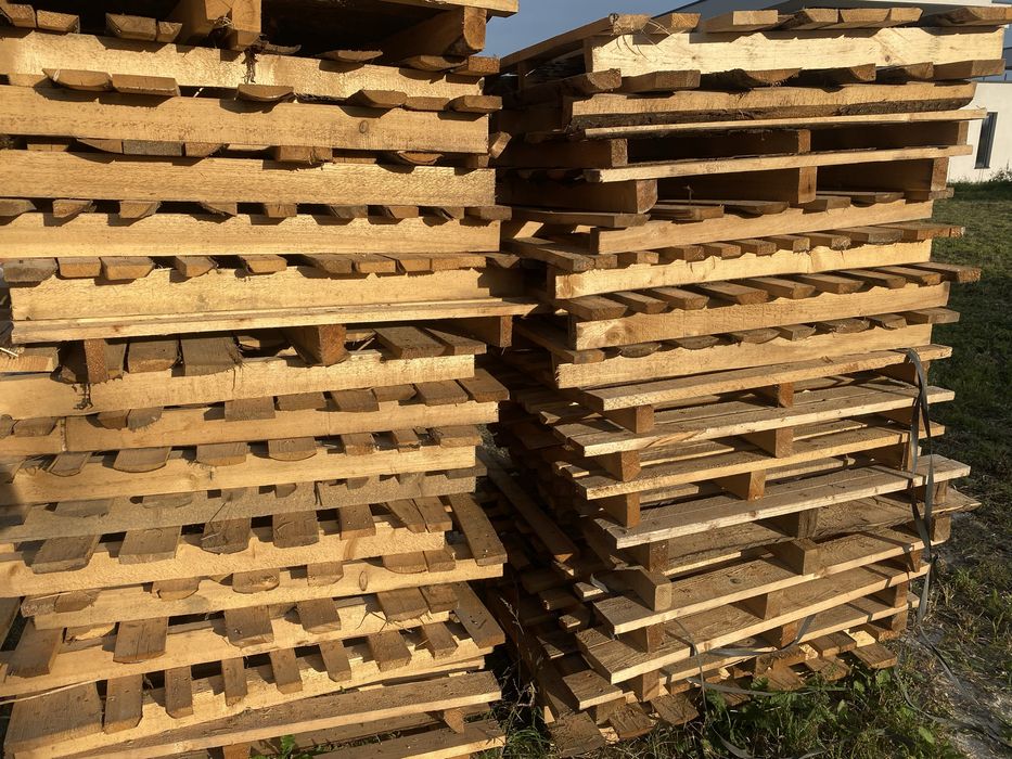 Піддони  , Зубра