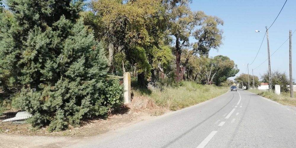 Terreno em Poceirão