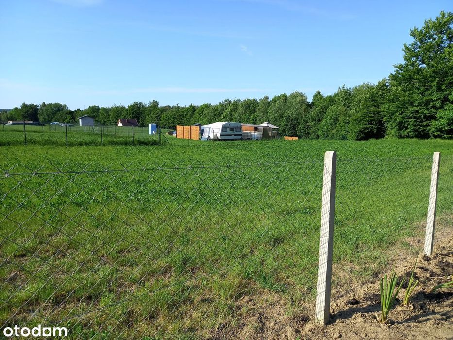 Działka rekreacyjna w pobliżu jeziora Lewinko - pow. 1,547 m² - Widok 4