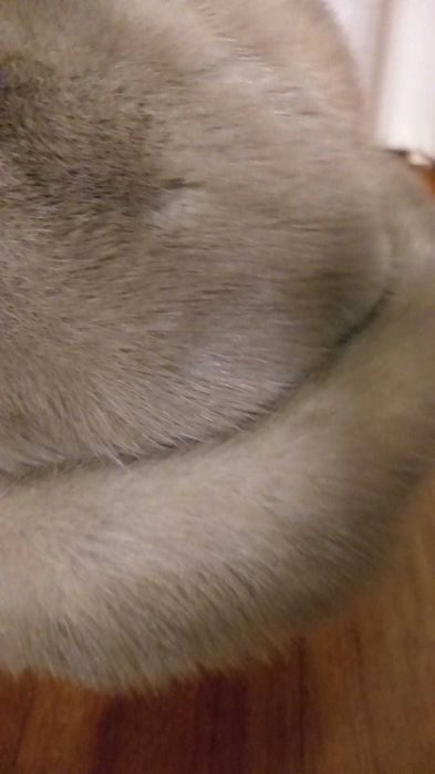 Sprzedam czapkę z norek