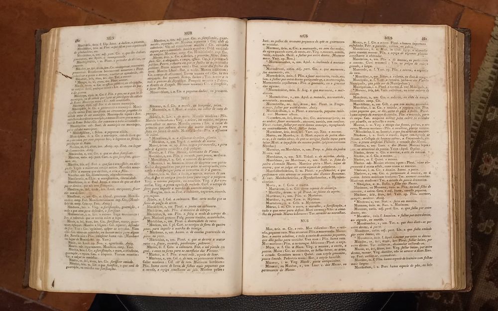 Magnum Lexicon Novissimo Latinum et Lusinanum Emmnuelia Joseph Ferrei