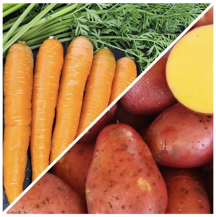 Ziemniaki REDLADY 14kg + marchew 10kg