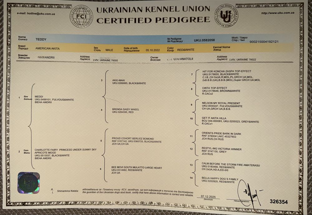 Американська Акіта. Кобель FCI. Вʼязка