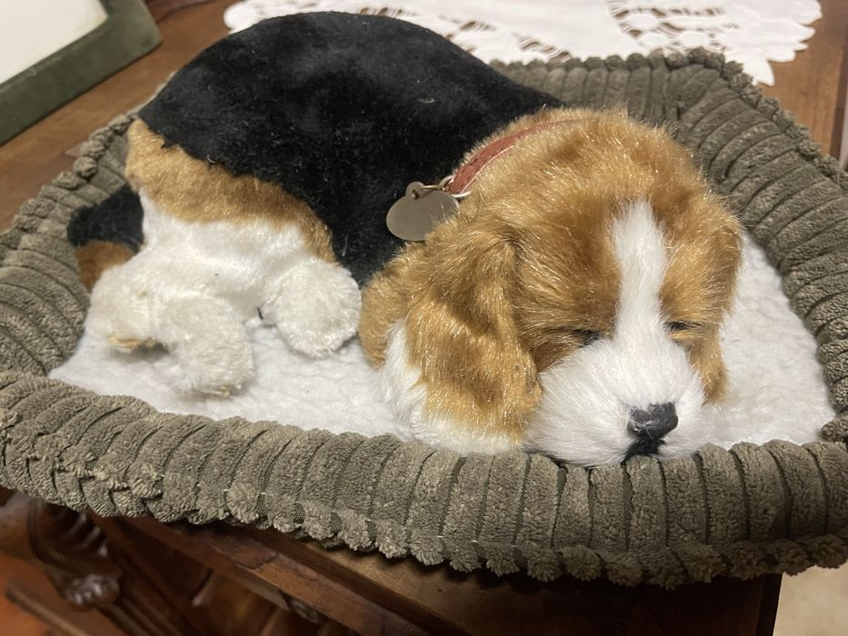 Brinquedo cao de peluche