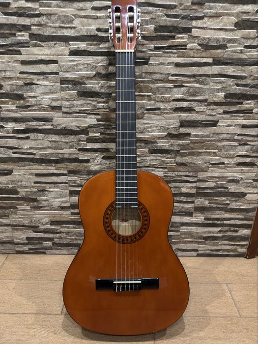 Viola com saco de transporte