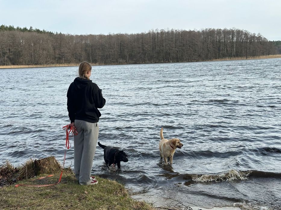 Trening/szkolenie z psem