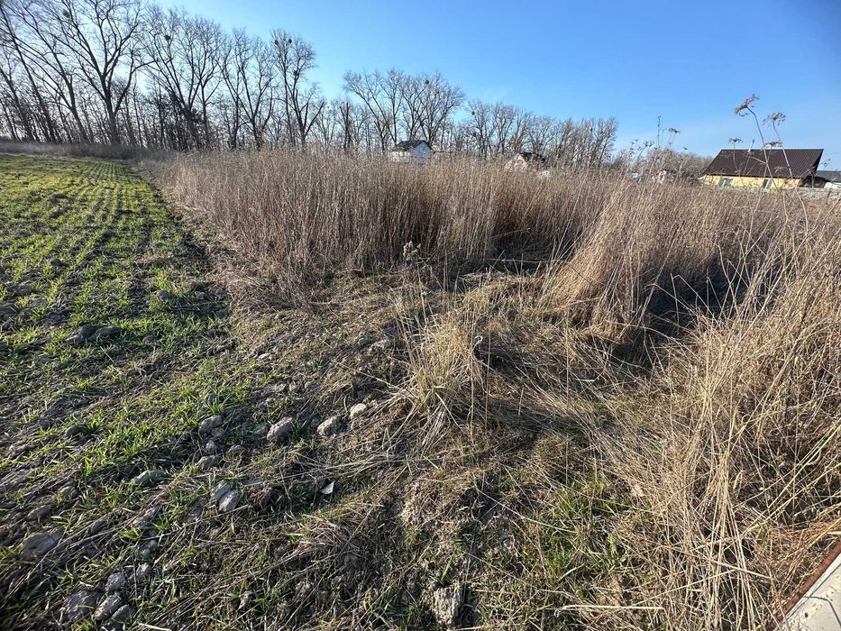 Продається земельна ділянка в Бохониках