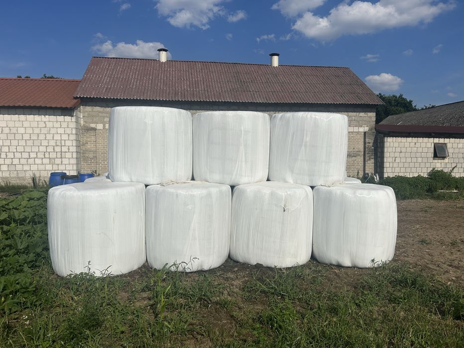 Baloty z lucerny, trawy 130