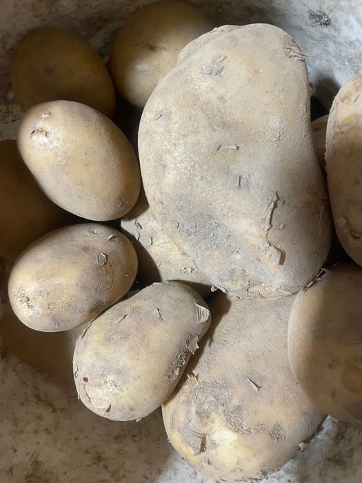 Batatas brancas e/ou vermelhas