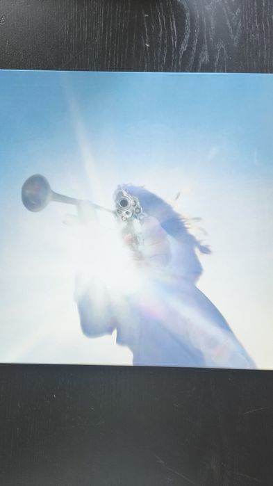 Geese-Getting Killed (clear vinyl)