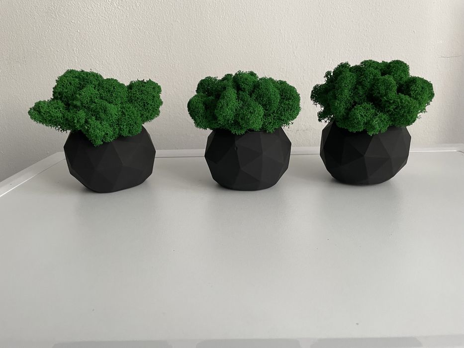 Doniczka betonowa z chrobotkiem