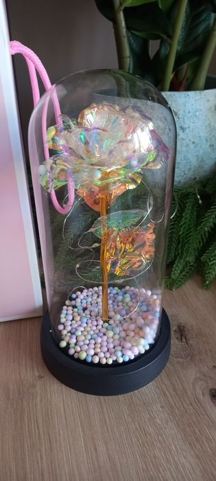 Wieczna róża biała led nowa