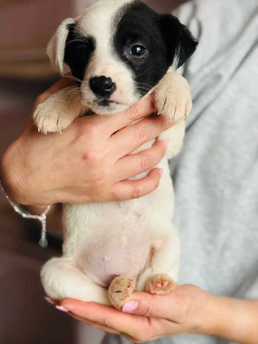 Манюня Брі шукає родину