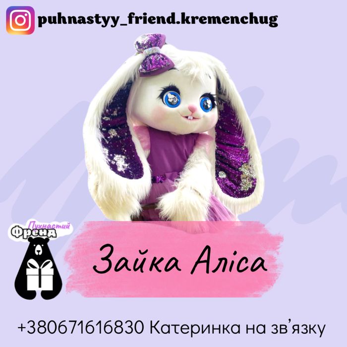 Мишка аниматор, Панда на день рождение