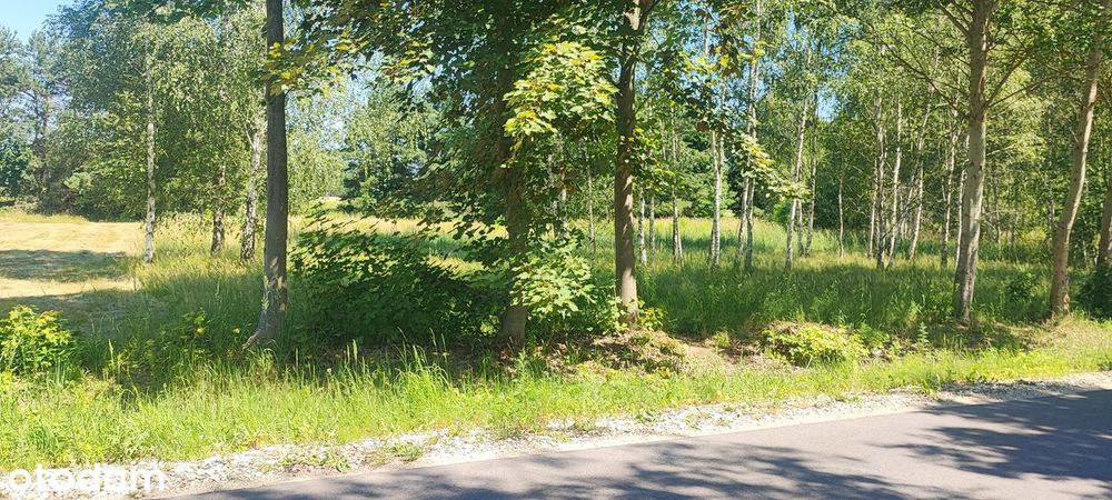 Działka na sprzedaż Gołąbek