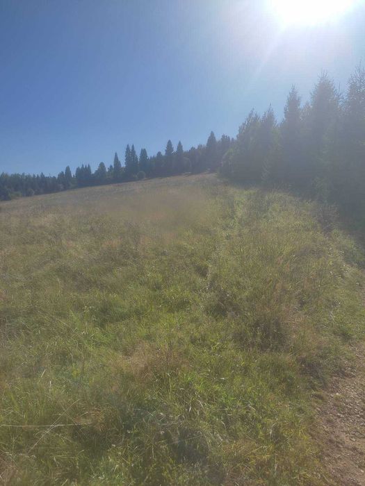 Продаж земельної ділянки у мальовничому селі Верхнє Висоцьке