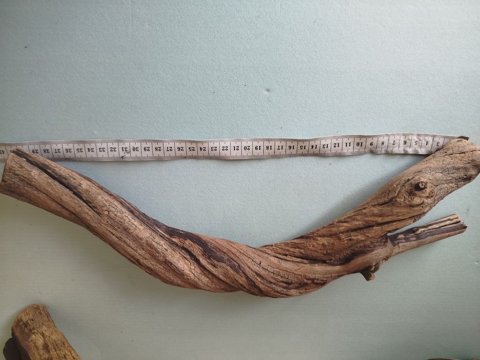 Коряги виноградні в акваріум,тераріум 50см.