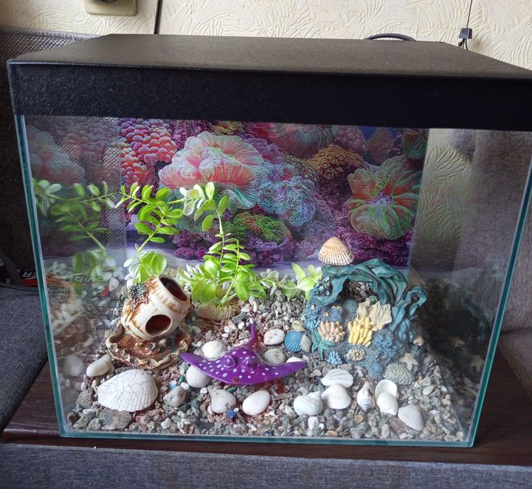 Аквариум 35 л.все включено