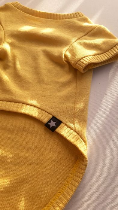 Светр для котика чи песика.