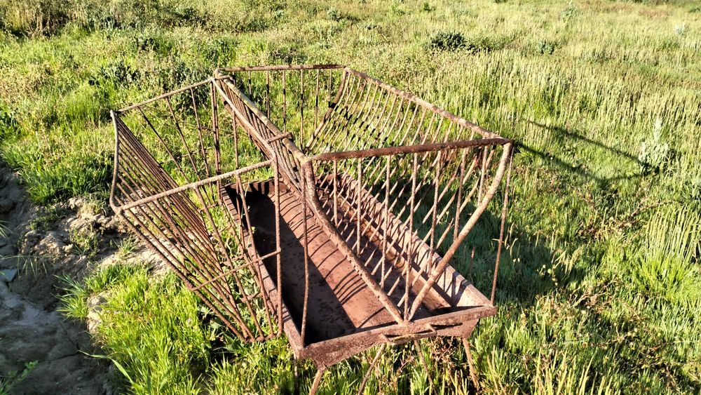 mangedoura ovelhas /vacas