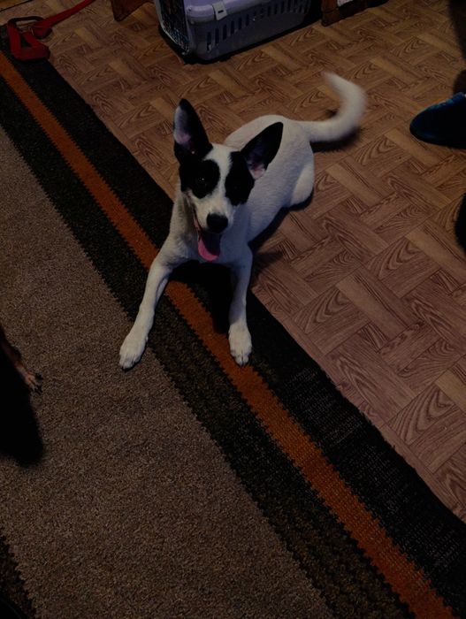 Чудова дівчинка чекає на свою родину