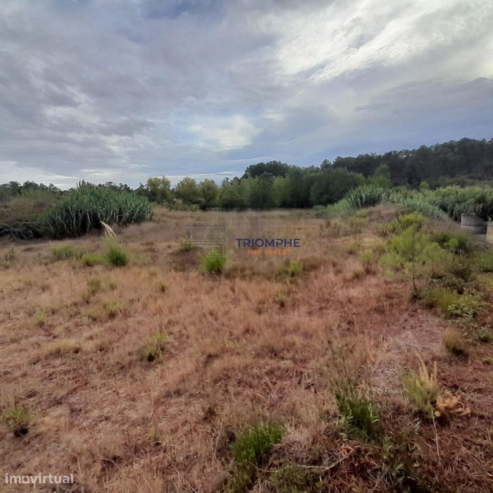 Terreno Urbano área 5.605 M² Amor, Leiria