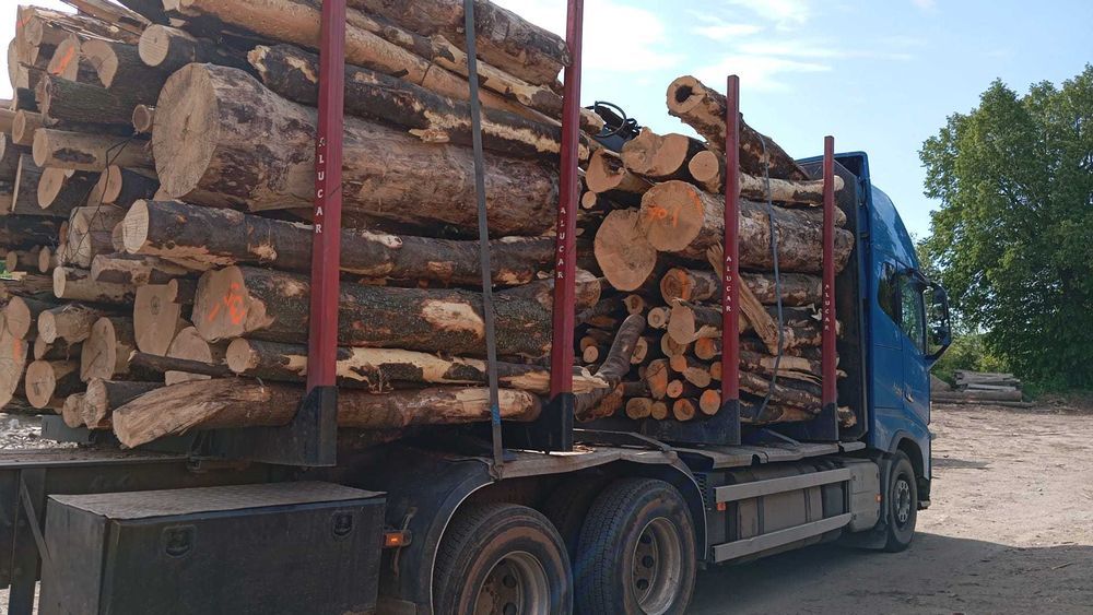 drewno opałowe, kłody - buk, jesion, dąb