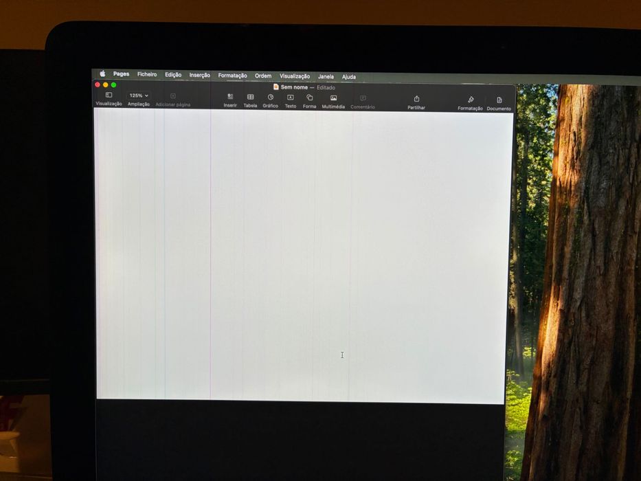 iMac Retina 4K 21,5" 2019 - 1TB - Defeito no Ecrã
