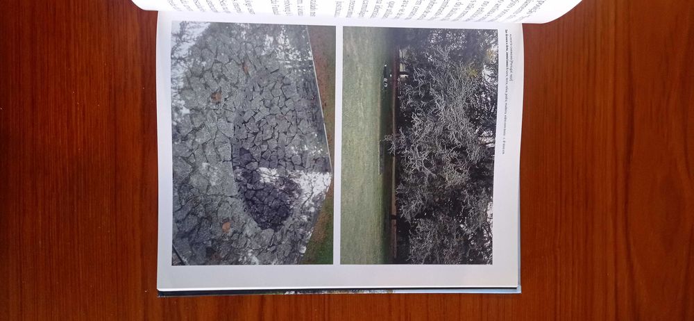 Serralves, 20 Anos e Outras Histórias