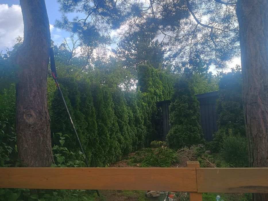 Przycinanie Żywopłotów, Pielęgnacja Ogrodów