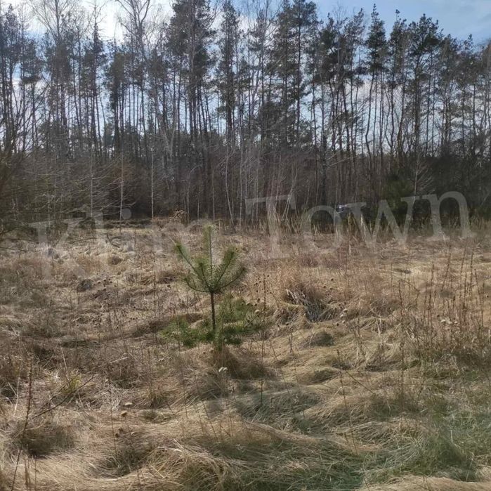 Продається земельна ділянка в СТ «Берізка» (Козинські горби)