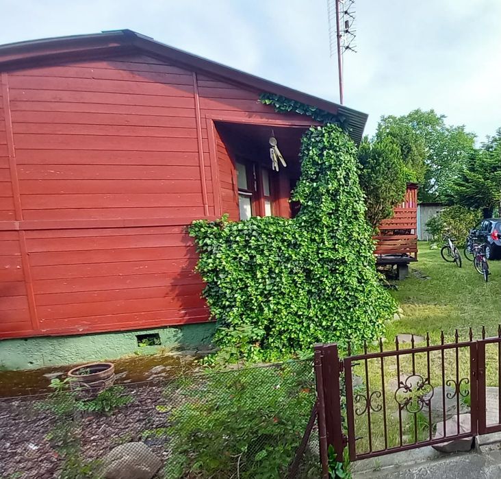 Sprzedam działkę ROD  w Ķórnik - Bnin