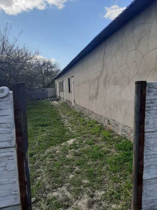 Продам будинок с. Качалівка Краснокутський район (169163)