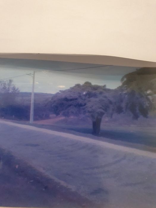 Terreno de Cultura Beira Alta