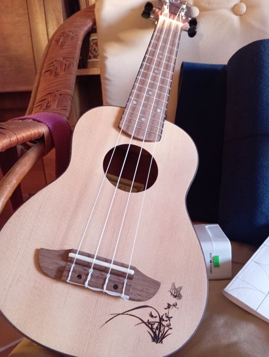 Vendo ukelele novo