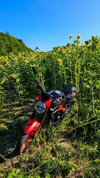 Mustang XTREET 250