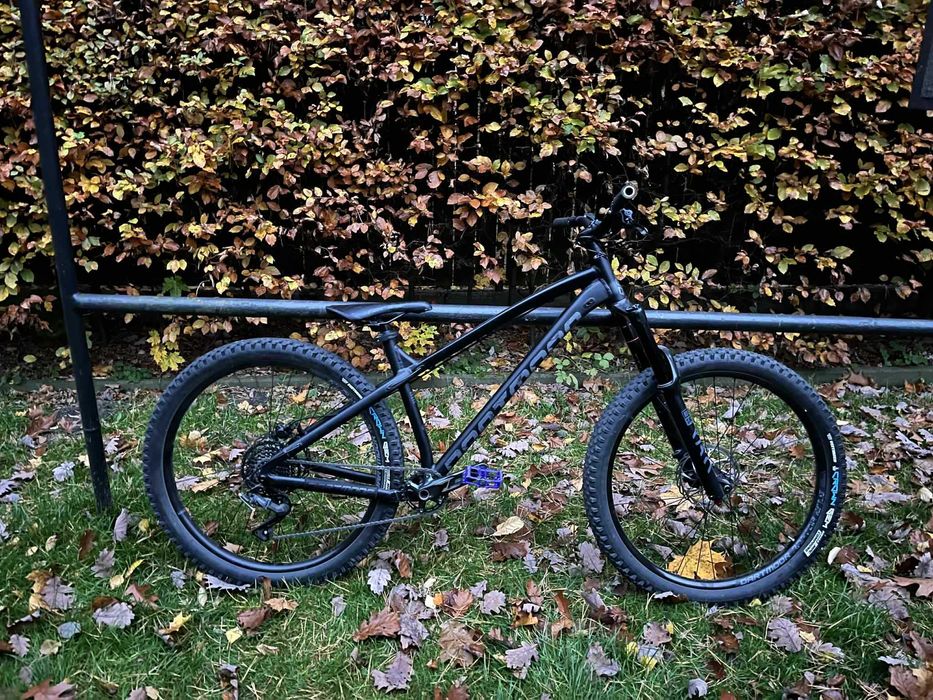 rower górski / dartmoor primal