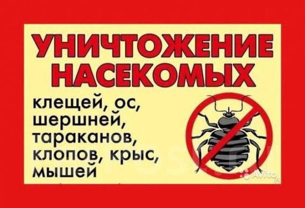 100 % Знищення Тарганів Клопів Бліх Уничтожение насекомых Тараканов