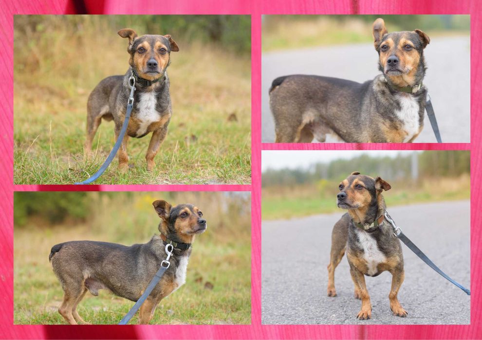 MILMO - marzy o nowym domu i rodzinie